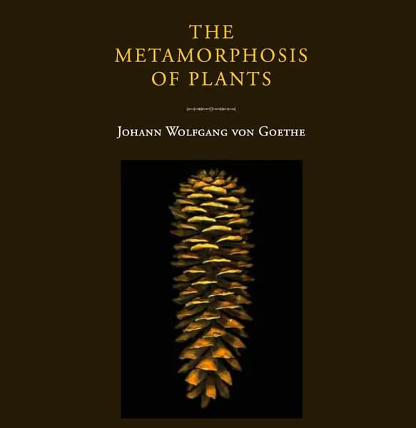 Goethe: The Formgiver of Life’s Living Metamorphosis — Rediscovering Nature’s Syntropic Blueprint Through Plant Transformation Cover