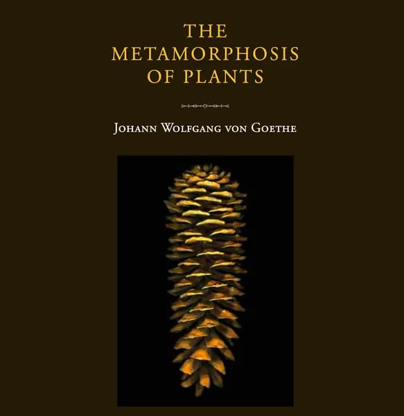 Goethe: The Formgiver of Life’s Living Metamorphosis — Rediscovering Nature’s Syntropic Blueprint Through Plant Transformation Cover